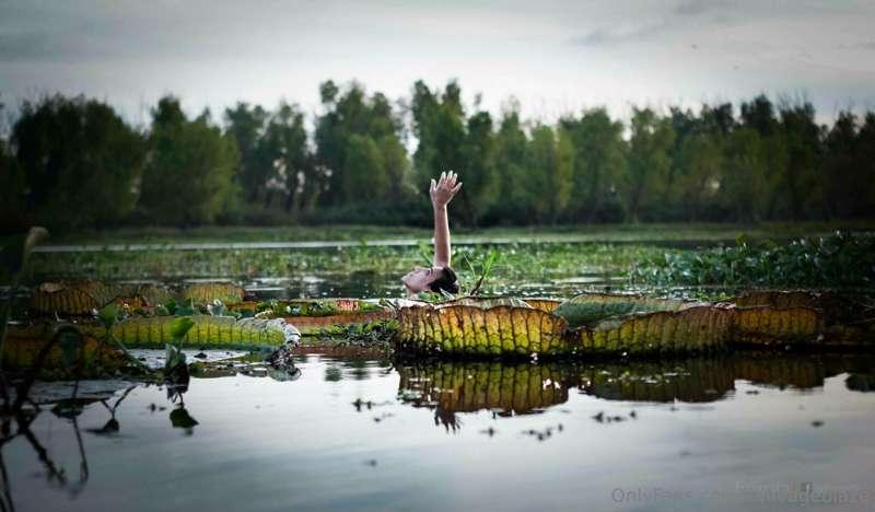 sauvageblaze image #2