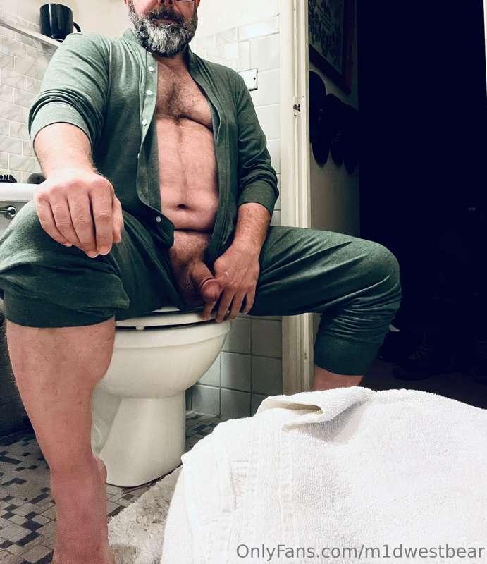 m1dwestbear image #9