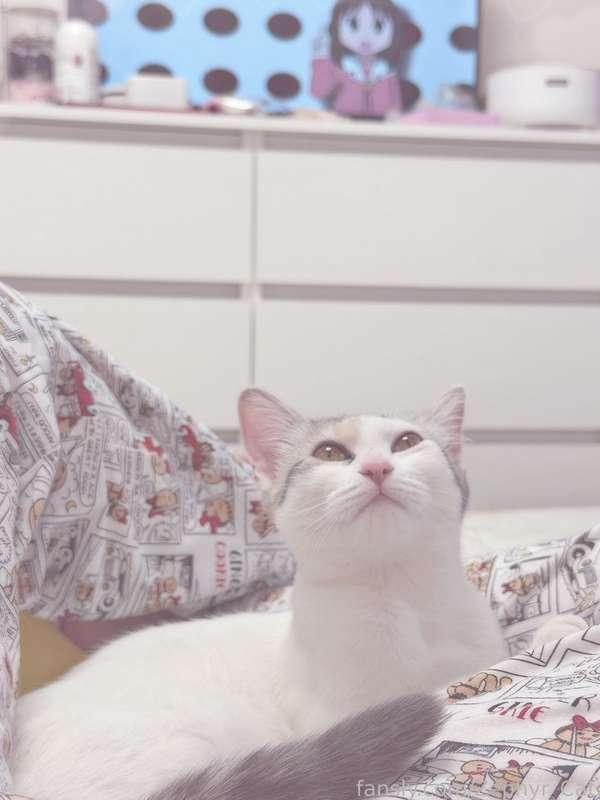zephyr_cat image #1