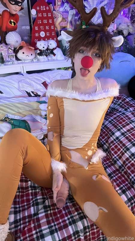 indigowhite image #22