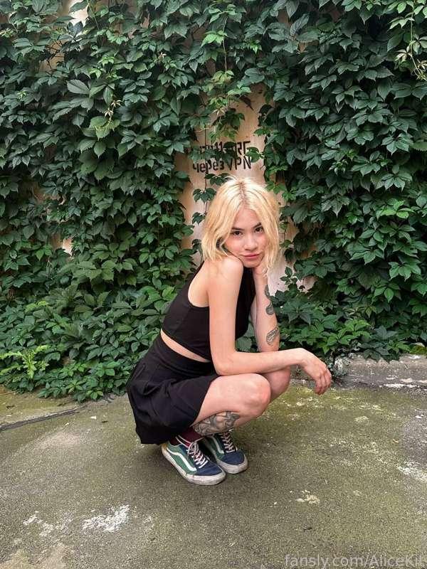 alicekit image #1