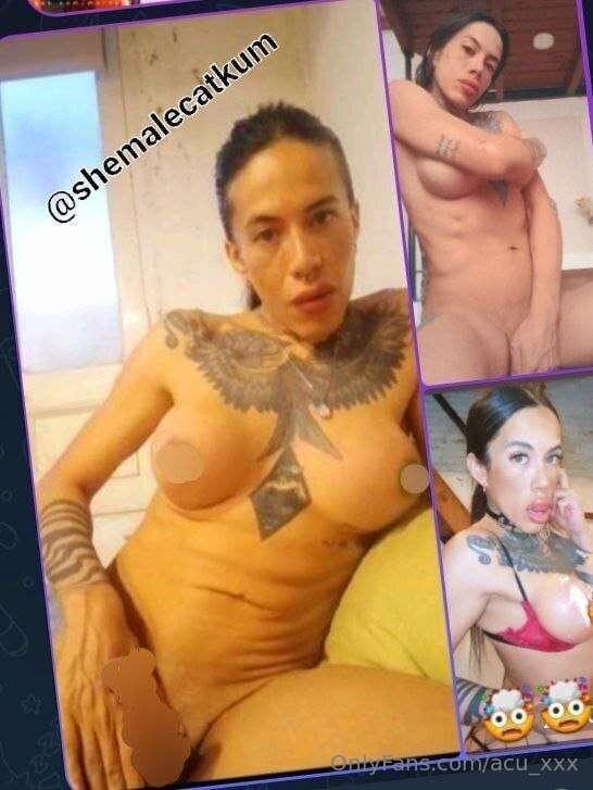 📌 @shemalecatkum I am a transgirl and I want you to see my w..