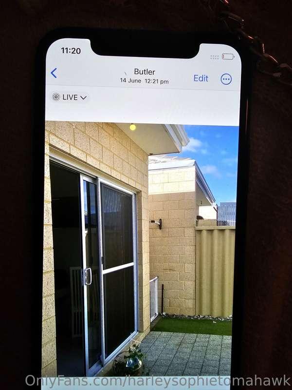 harleysophietomahawk image #18