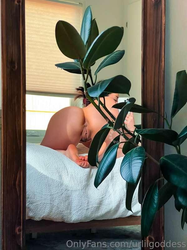 🌵 𝗱𝗮 𝗺𝗼𝘀𝘁 𝘀𝘂𝗰𝗰𝘂𝗹𝗲𝗻𝘁 𝗯𝗼𝗼𝘁𝘆 🌵

And yessss I know it’s a rubber..