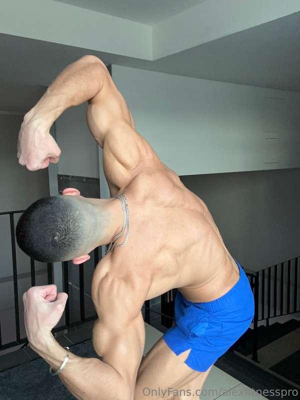 alexfitnesspro image #17
