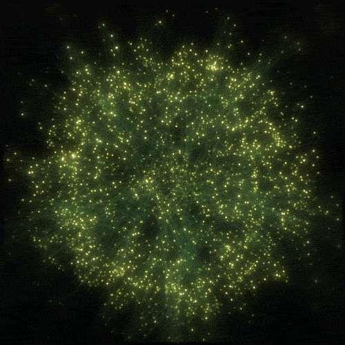 Pollinators VJ Clip