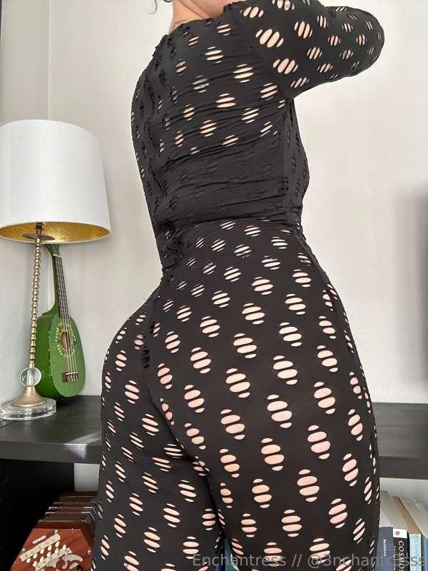 catsncake image #3