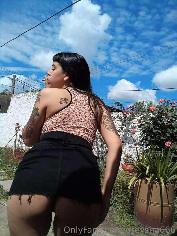 primavera 💥