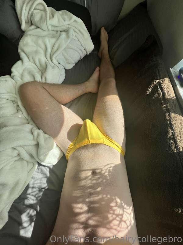 hairycollegebro main image