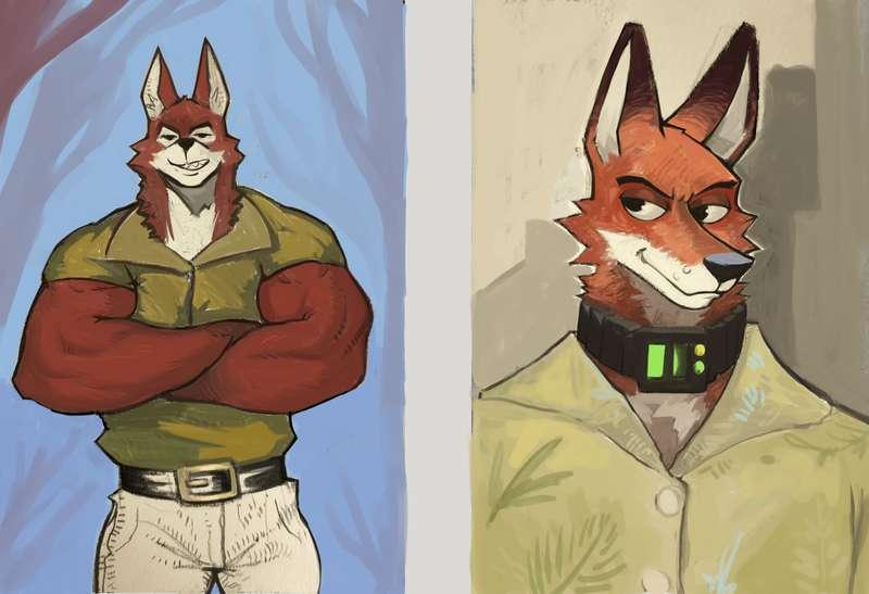 Portrait of Foxes (Nick and Robin)(HD)