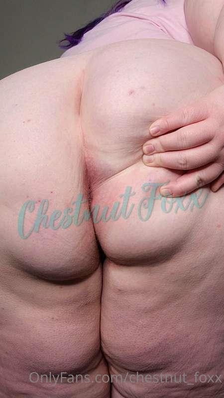 chestnut_foxx image #4