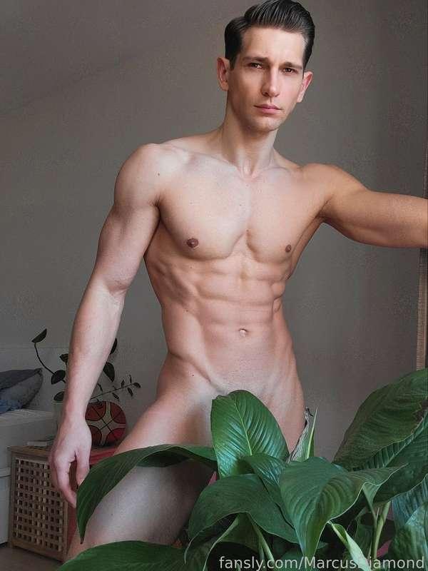 marcusdiamond image #0