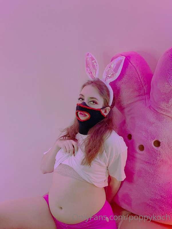 I hope you're all ready for some bunny-girl belly this week~