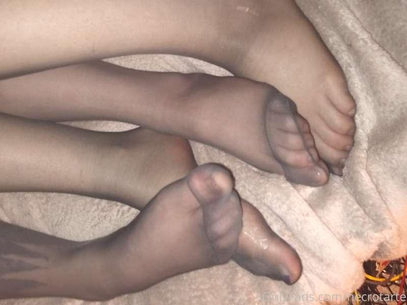 latrodectushex image #1