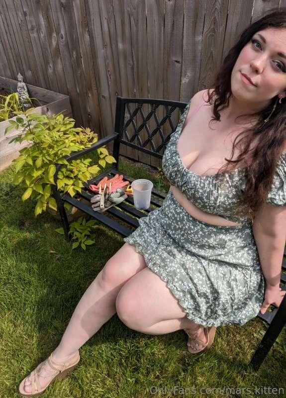 mars.kitten image #3