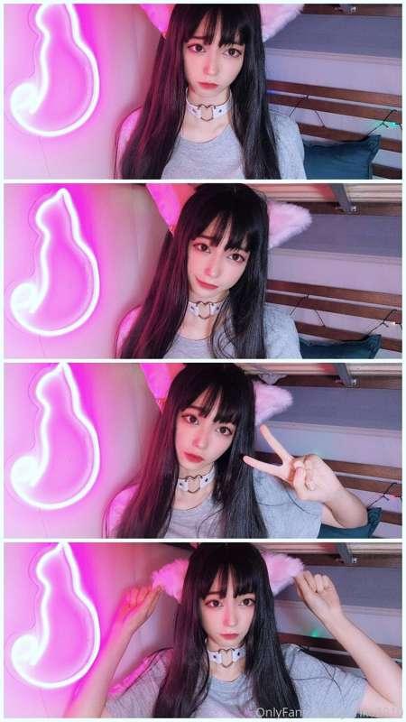 Miaow miaow miaow miaow (≧(ｴ)≦ )🌸