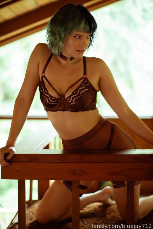 bluejay712 image #14