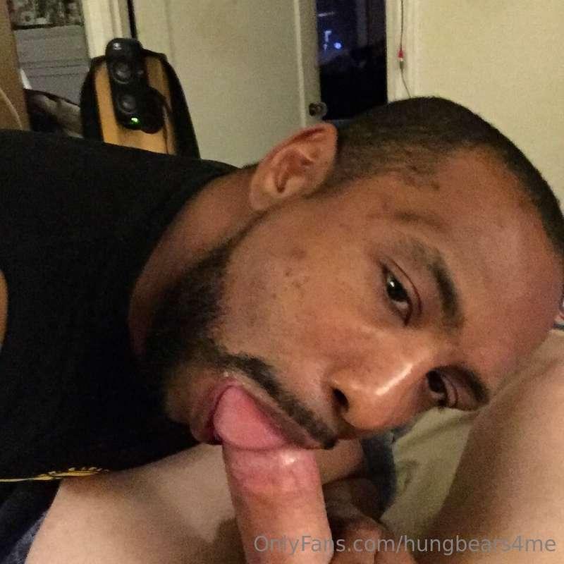 hungbears4me image #0