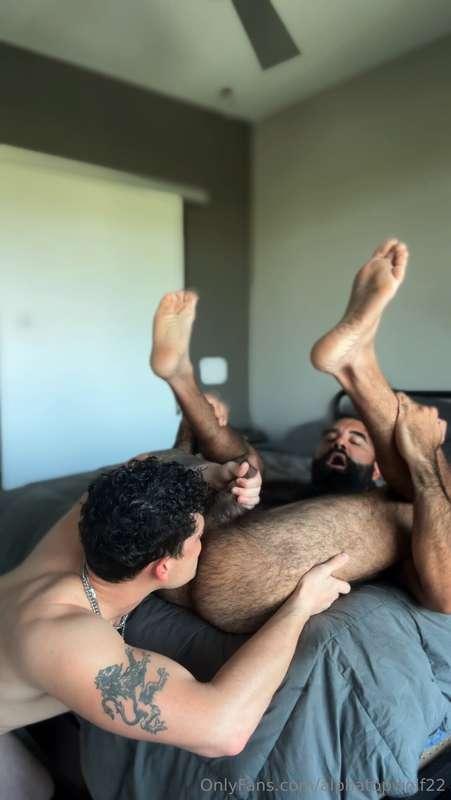 alphatopwolf22 image #10