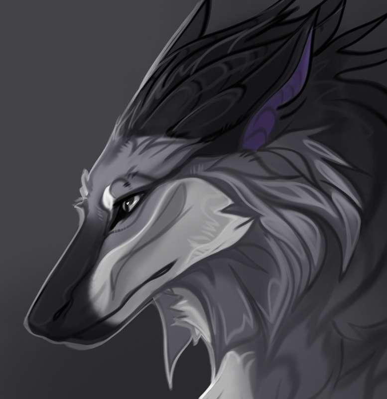 safiruart main image