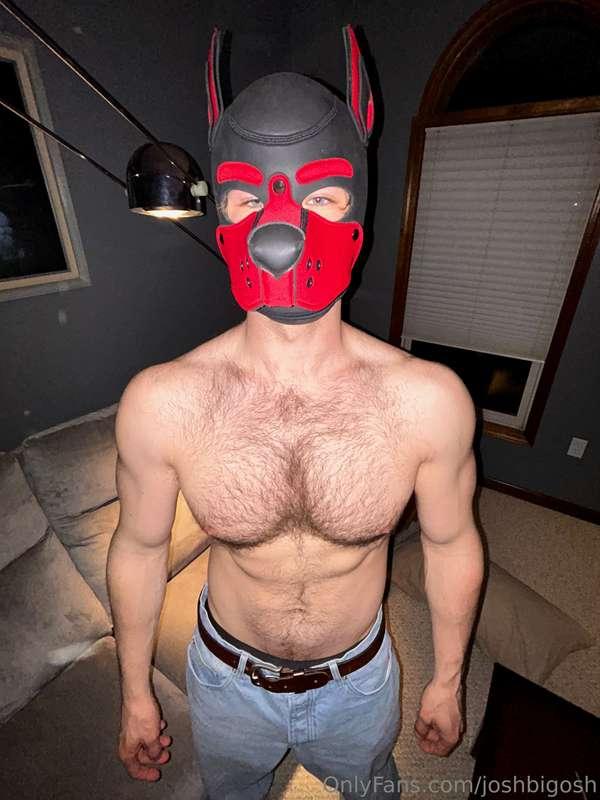 woof woof!