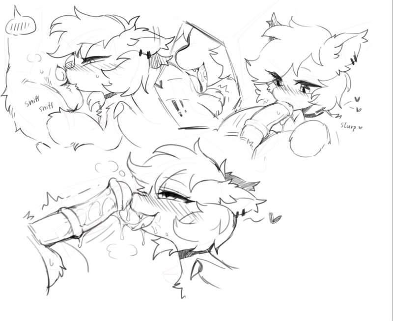 sketch