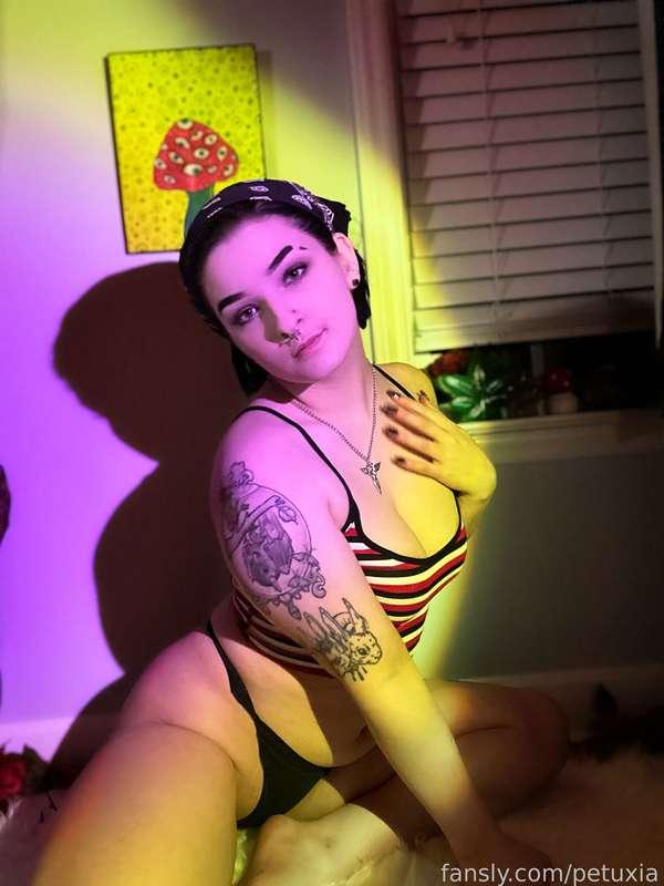 petuxia image #2