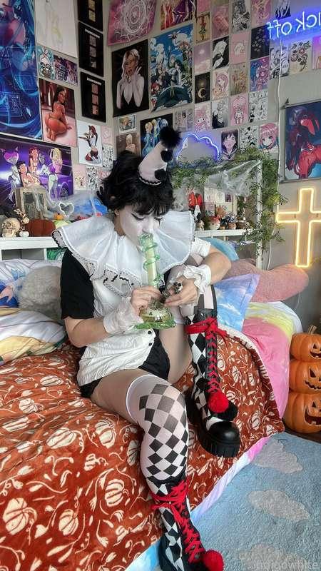 indigowhite image #12