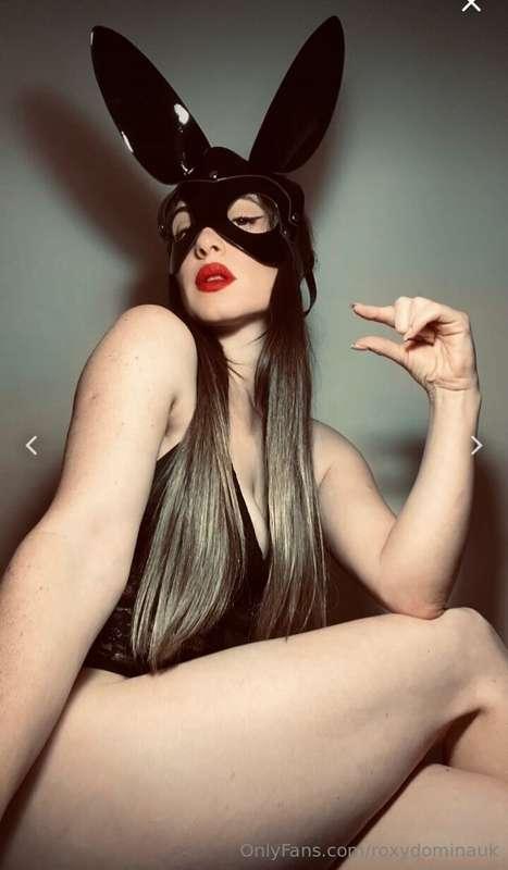 ⛓️ FREE ⛓️ FREE ⛓️ FREE ⛓️  Hey i'm Halley your new goddess ..