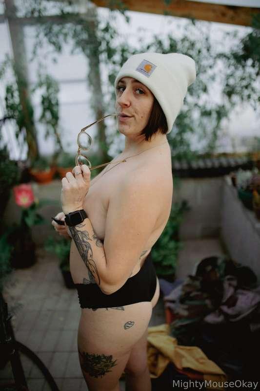 mightymouseokay image #3