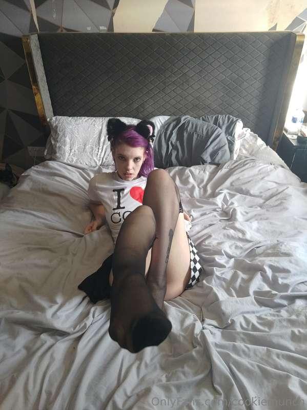 cookiemunch image #6