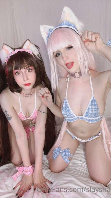 meow with @hemulka