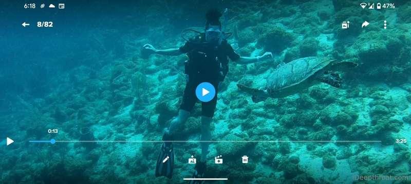 Check out this huge Sea Turtle 🔥 we saw in Roatan. It was am..