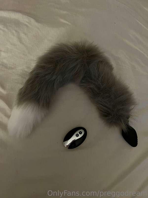 New vibrating fox tail 🦊