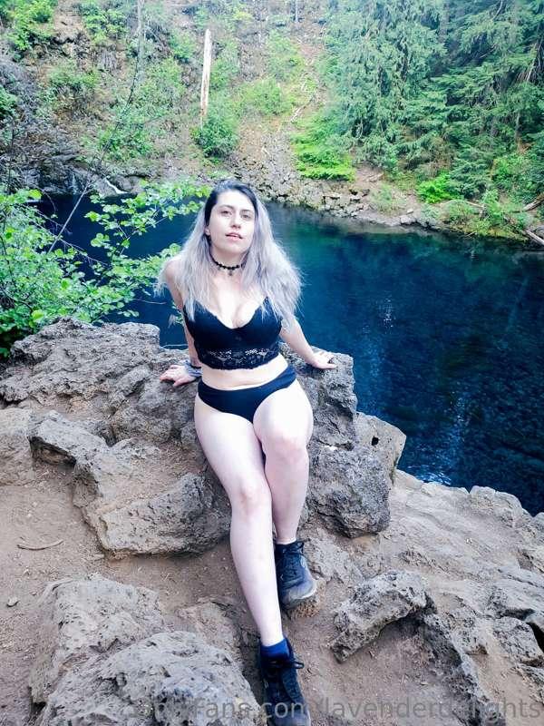 lavenderdelights image #3