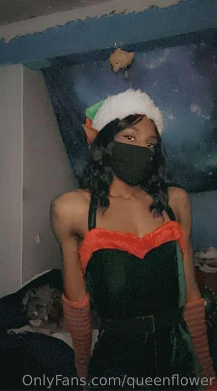 queenflower image #2