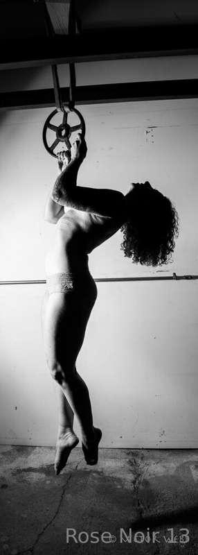 rosenoir13 main image