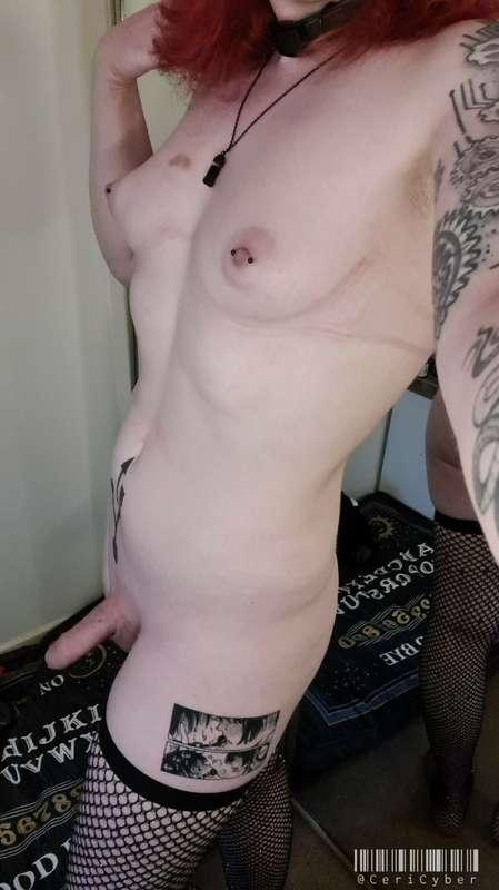 cericyber image #19