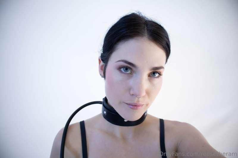 the inflatable collar by TS
