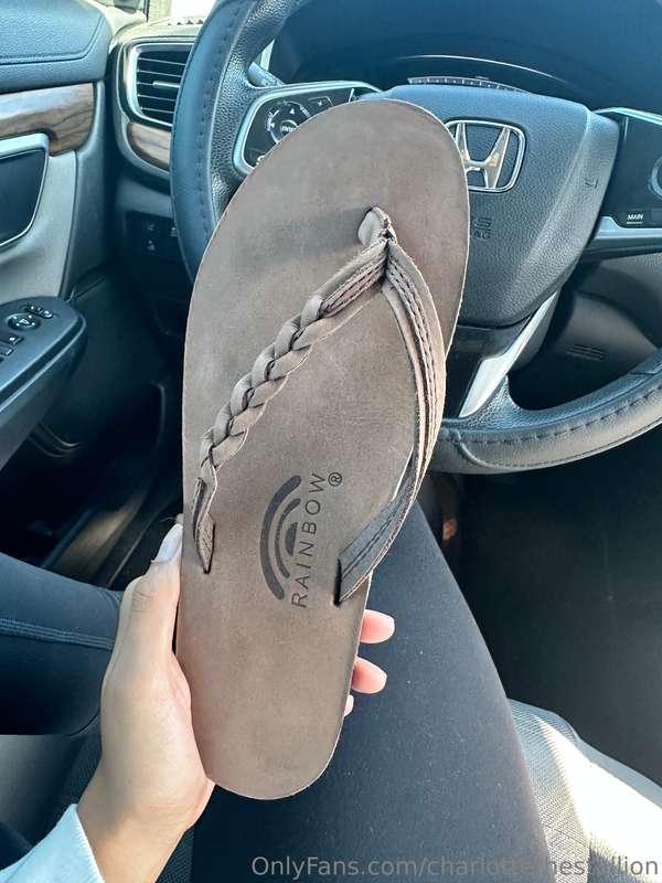 charlottethestallion image #0