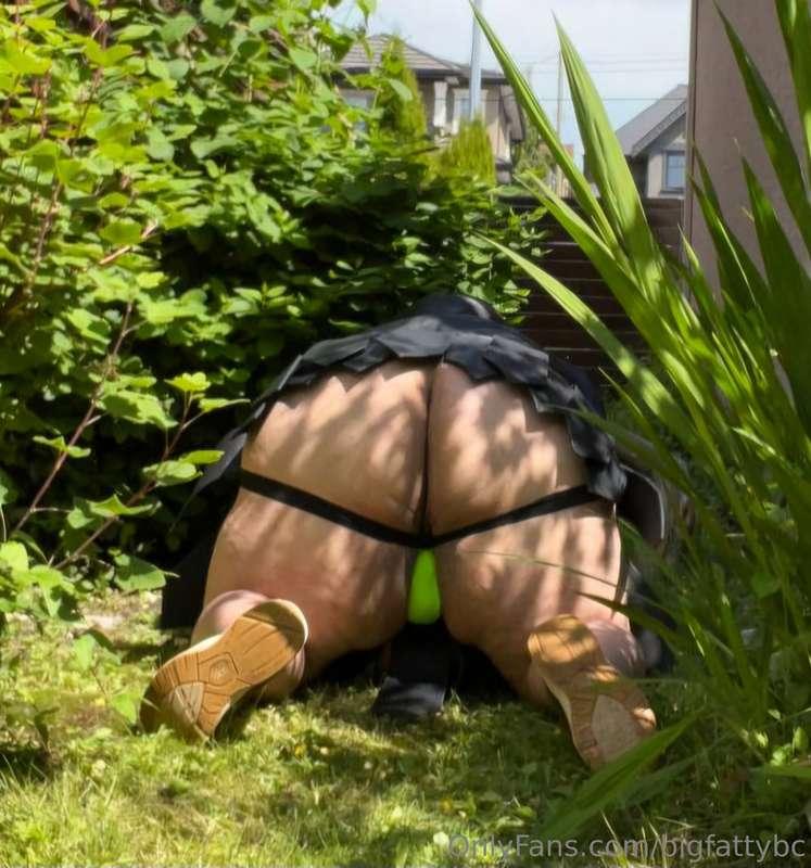 bigfattybc image #0