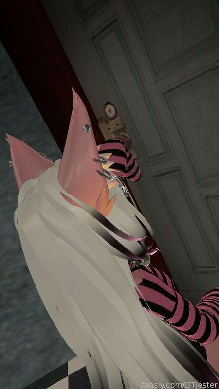 dtjester image #12