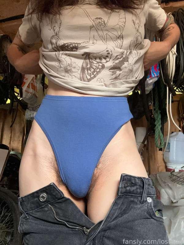 lostodg image #1