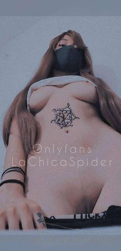 lachicaspider image #1