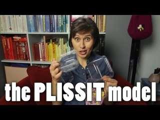 The PLISSIT Model