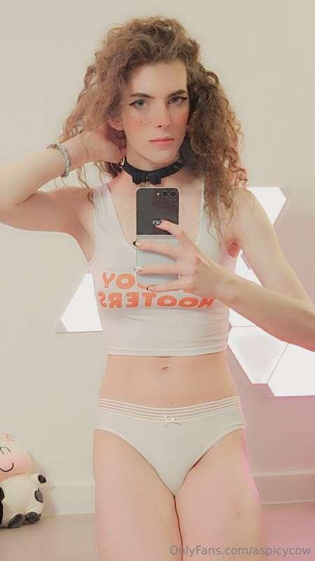 aspicycow image #1