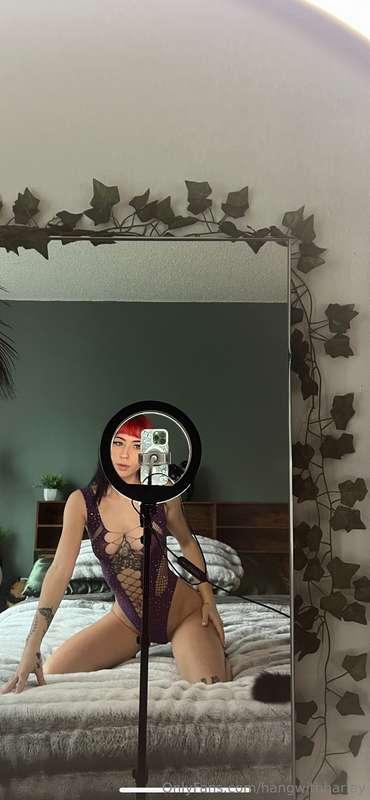 harley_fayefree image #0