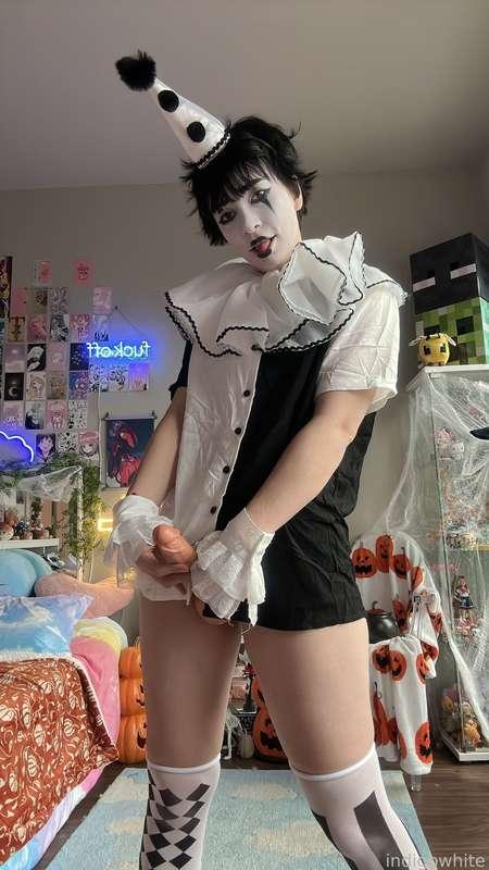 indigowhite image #38