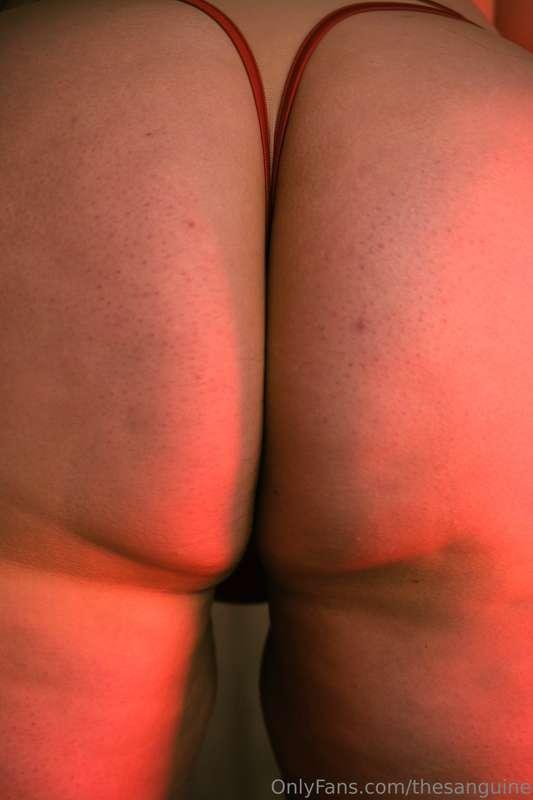 thesanguine image #5
