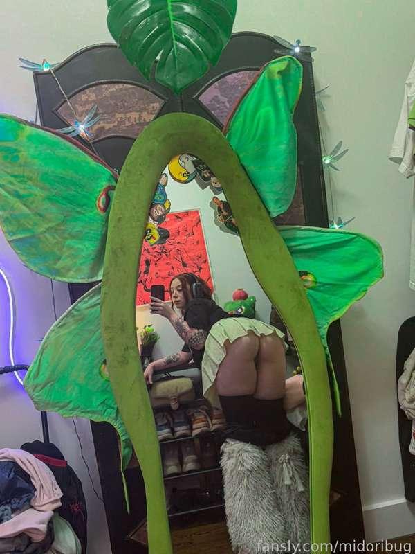 midoribug image #1